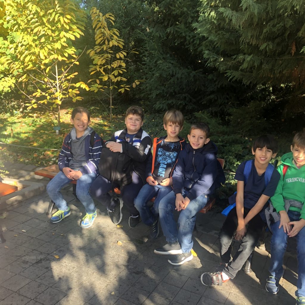 Állatkert 8